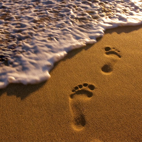 Travel and cruise themed image